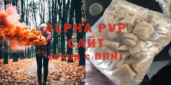 прущие грибы Абинск